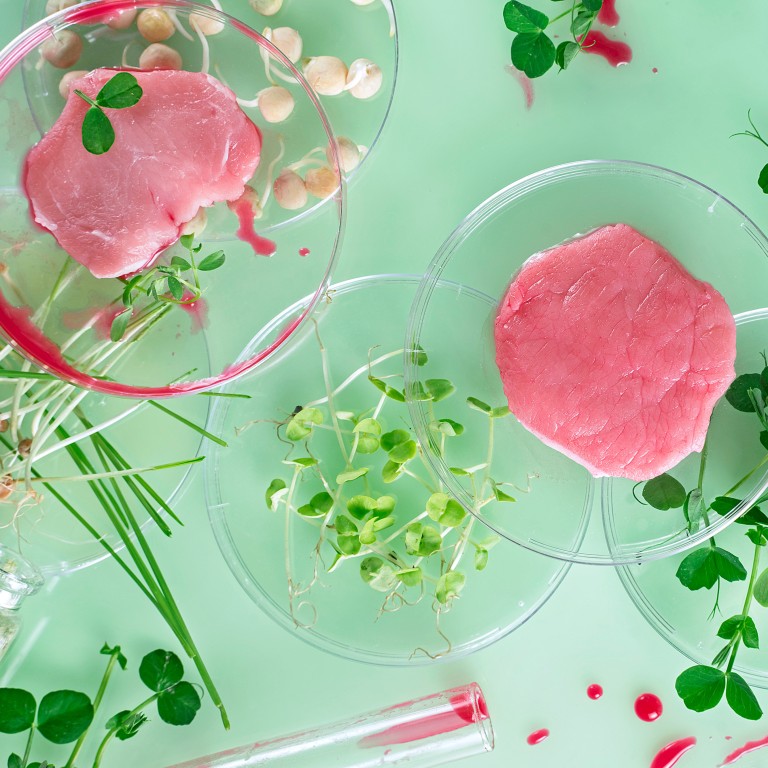 China’s CellX and Germany’s Bluu pool cultivated meat and seafood ...