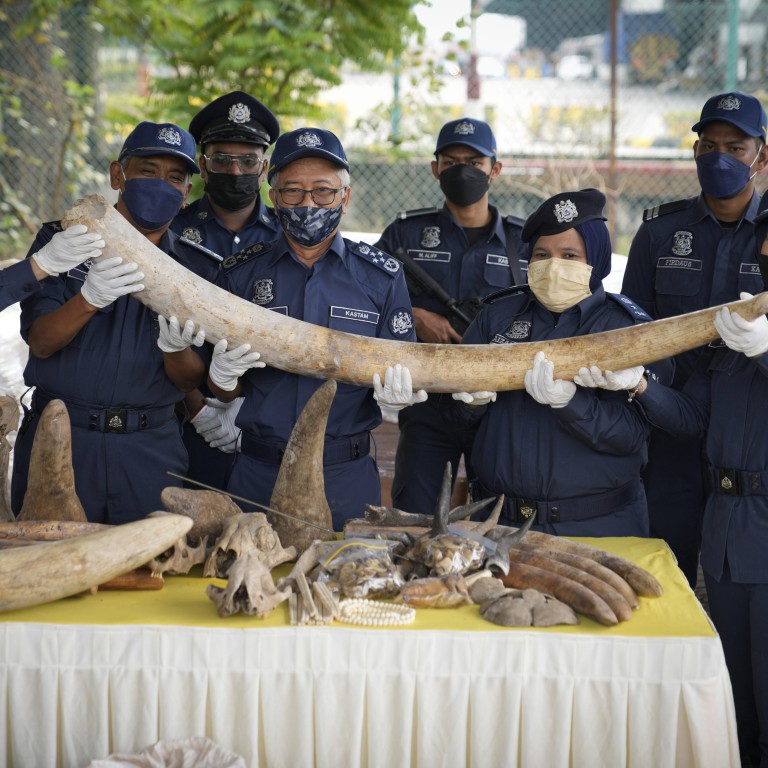 Malaysia seizes US18 million in elephant tusks, rhino horns and