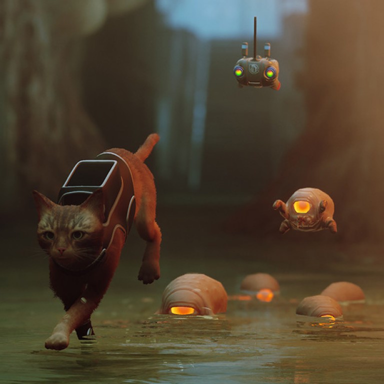 Stray cat video game brings some benefits to real cats
