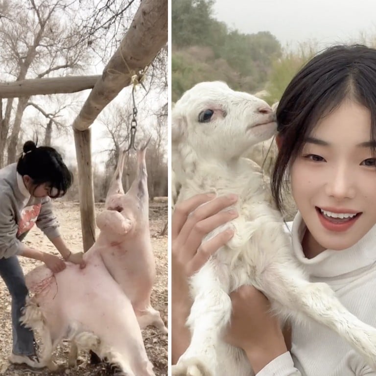 Gentle desert butcher': shepherdess' videos on how to slaughter, skin a  sheep in 8 minutes, makes her a China social media star | South China  Morning Post