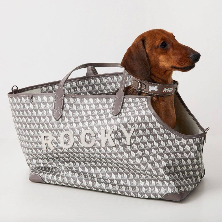 Amazon.com : Custom Dog Carrier, Personalized Portable Travel Cat Carriers  Bag with Collar Hook, Waterproof Foldable Pet Purse, Sturdy Dog Tote Bag  for Every Pet Under 22lbs : Pet Supplies