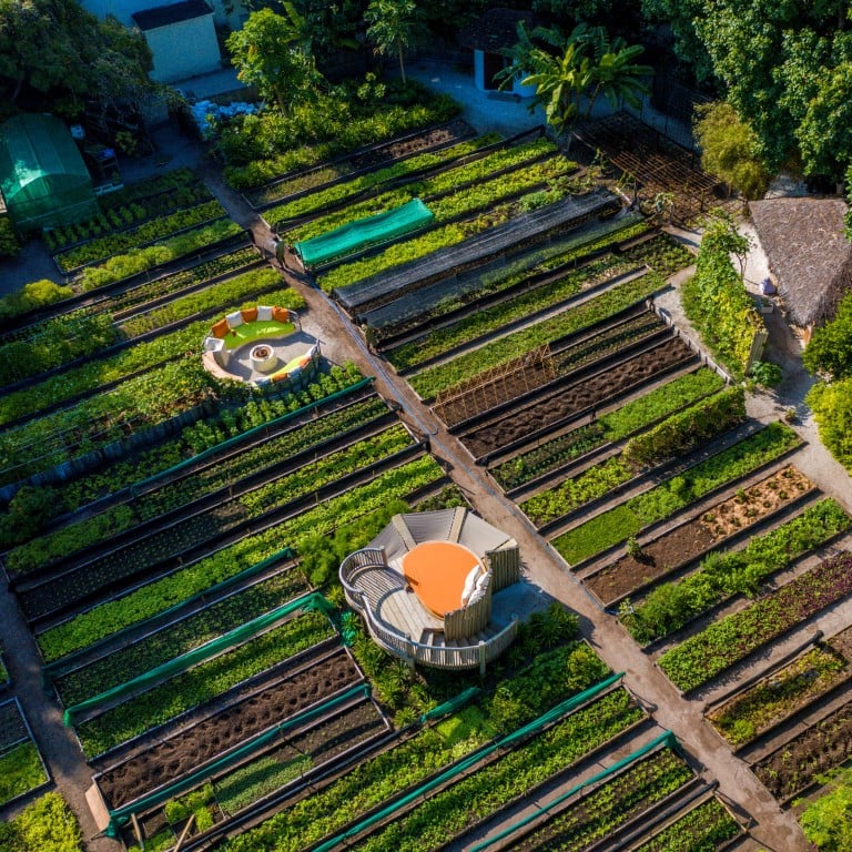 The garden at Soneva Fushi’s Shades of Green. Photo: Soneva Fushi