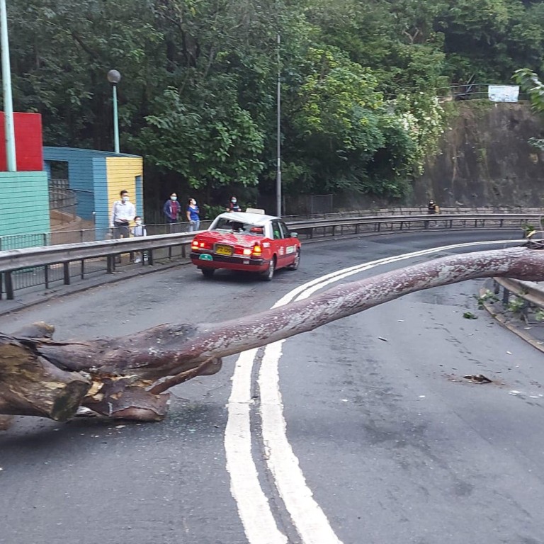 The tree blocked both lanes of Stubbs Road. Photo: Facebook