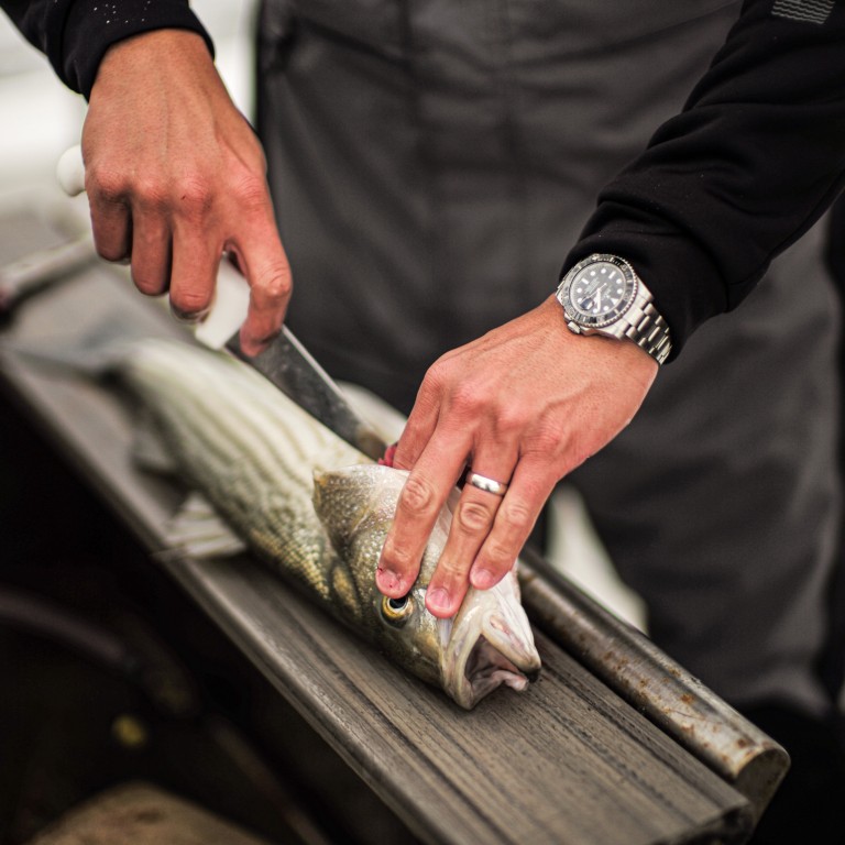 What is ikejime and is it a humane way of preparing sushi? The traditional  Japanese method of 'closing the fish' ensures a stress-free death, but  campaigners say it's unnecessarily cruel