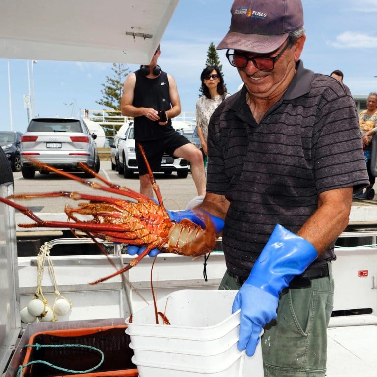 China-Australia Relations: Rock Lobsters To Face ‘severe’ Competition ...