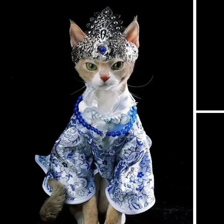 Dresses for cats online sale