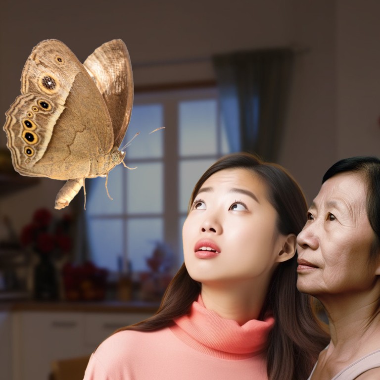 ‘Don’t kill it, it’s grandpa’ Hong Kong woman says mother believes