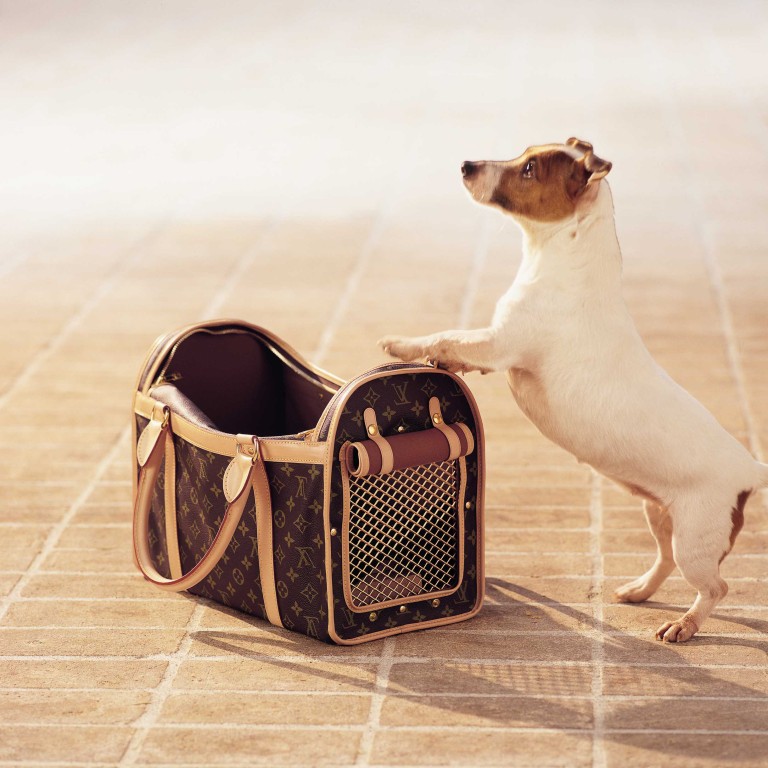 Louis Vuitton Dog Carrier 