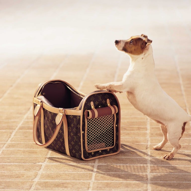 4 luxury brands to twin with your pampered pooch: from Louis Vuitton's chic dog  leash and Gucci's monogrammed pet carrier bags to Prada's posh collar and  Christian Louboutin's stylish harnesses