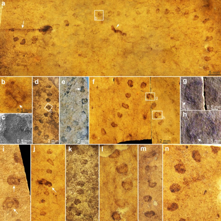Chinese scientists find new clue to origin of life on Earth in ‘string ...