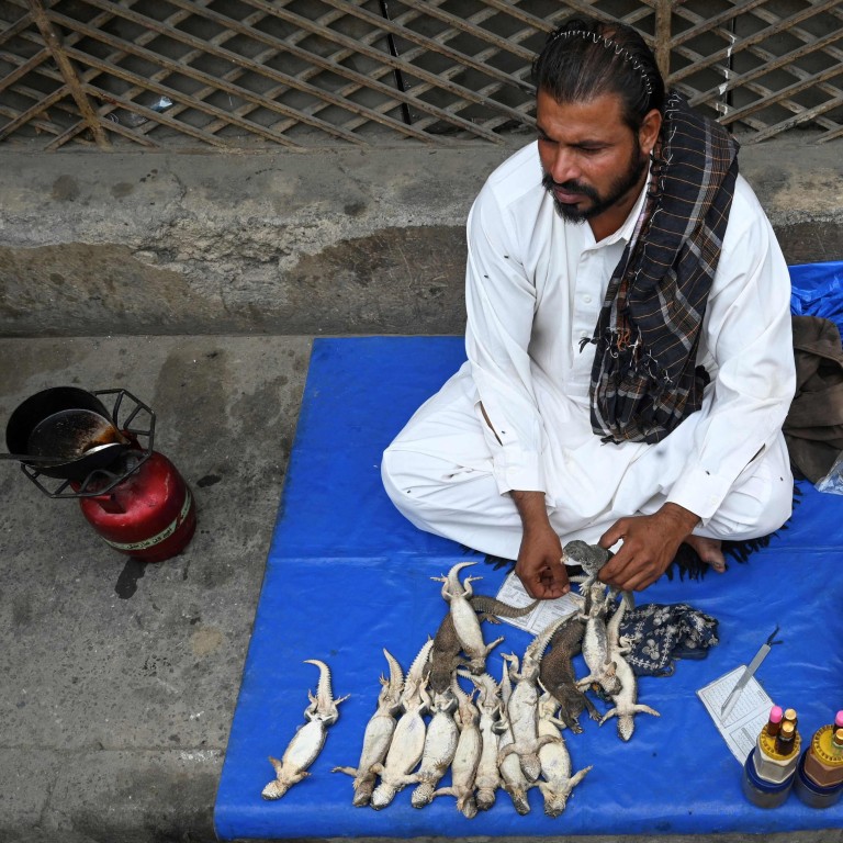 With Viagra banned, Pakistani men turn to lizard oil to make them