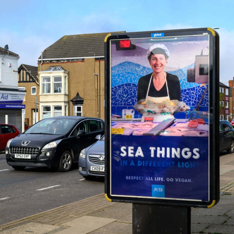 Eating cats and fish is the same thing, suggests advert outside UK chip