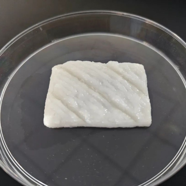 China scientists’ lab-grown fish fillets point the way to food future ...