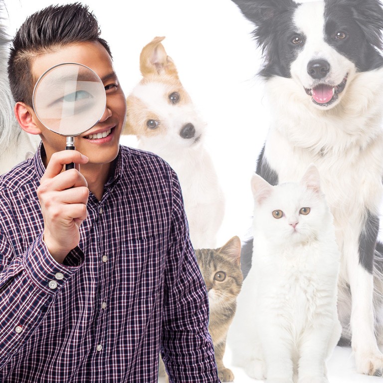 ‘Pet detectives’ who search, rescue and return lost ‘fur children’ to