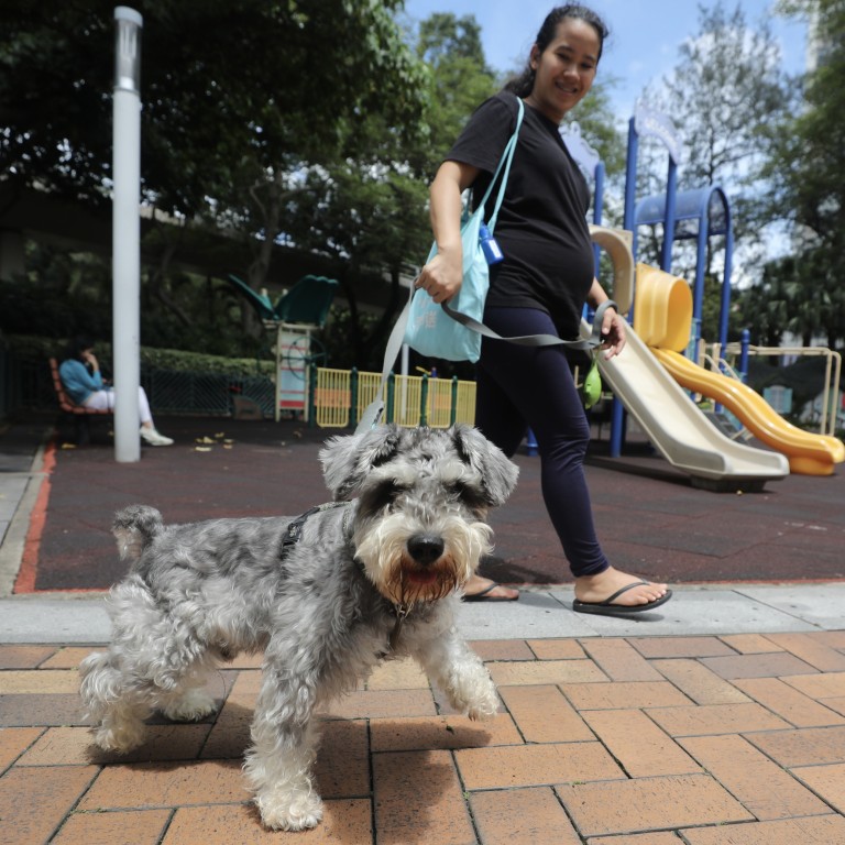 Is Hong Kong petfriendly? Owners new dog parks but want more
