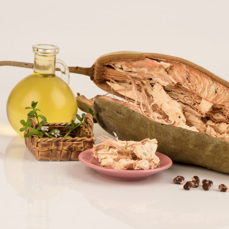 Baobab fruits contain medicinal properties and their oils can be used to improve the quality of our skin. Photo: Shutterstock