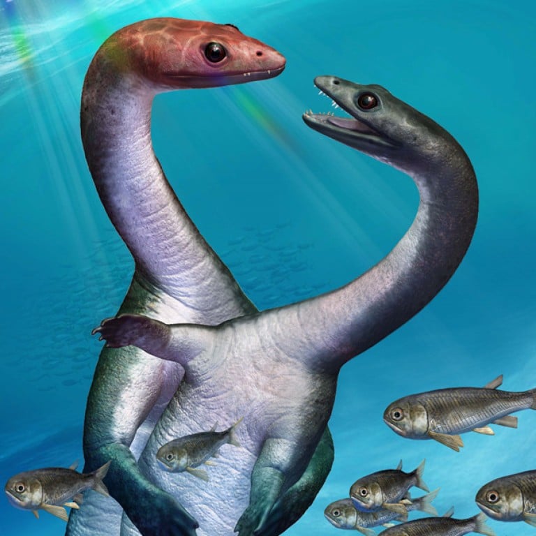 Chinese-led team reports first evidence of puberty in dinosaur-era