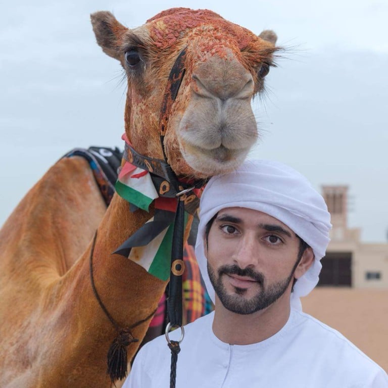 Camel-loving Dubai crown prince Sheikh Hamdan bin Mohammed Al Maktoum splurges on Ferraris, Lamborghinis and superyachts – but is also a sensitive soul, animal lover and daredevil. Photo: Instagram