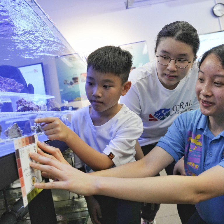 Ocean Park Hopes To Rebuild Coral Reefs In Deep Water Bay | South China ...