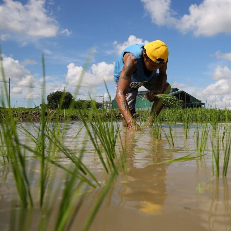 President Marcos caps rice prices in Philippines inflation fight ...