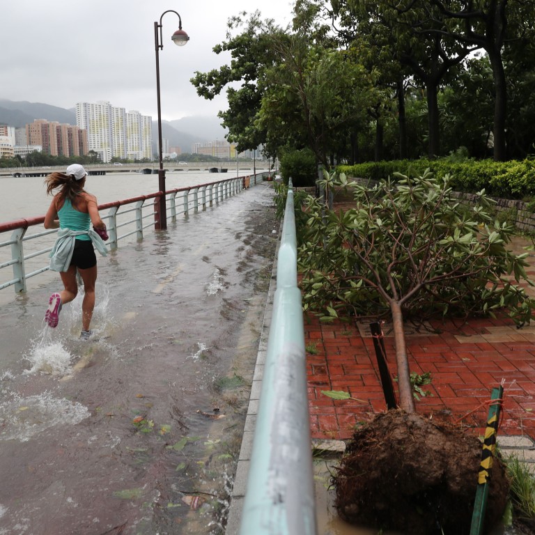 Typhoon Saola aftermath: Hong Kong wakes to debris and fallen trees on ...