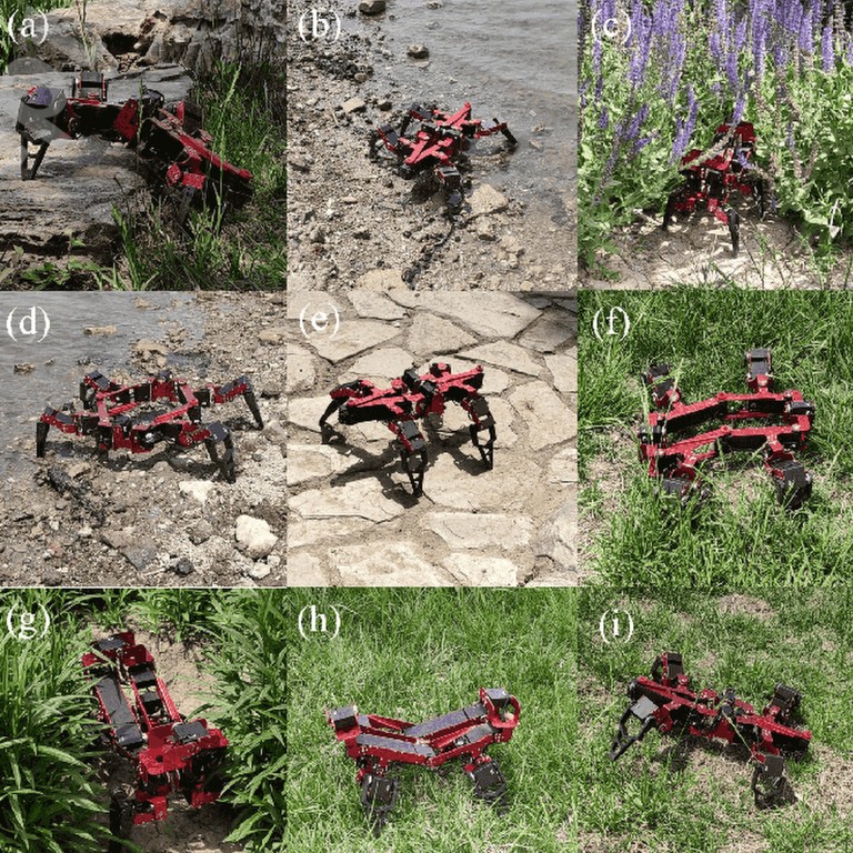 Transformer For Robotics China’s award-winning ‘Transformer’ robot is much more than meets the ...