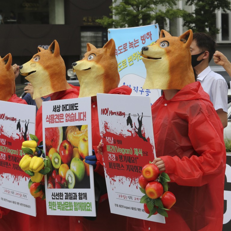 South Korea s Yoon Wants To Name An Anti dog Meat Law After His Wife south-korea-s-yoon-wants-to-name-an-anti-dog-meat-law-after-his-wife