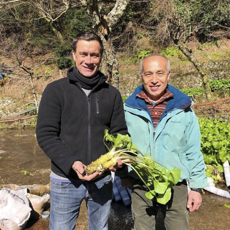 ‘The perfect challenge’ British wasabi growers on how their product is