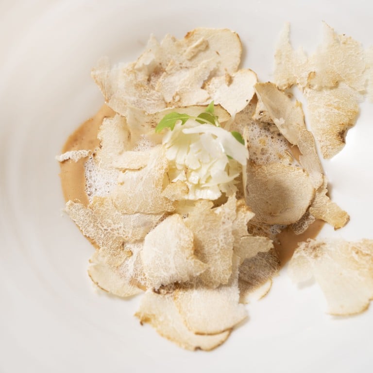 A chestnut dish finished with milk foam and white truffle. Photo: Castellana