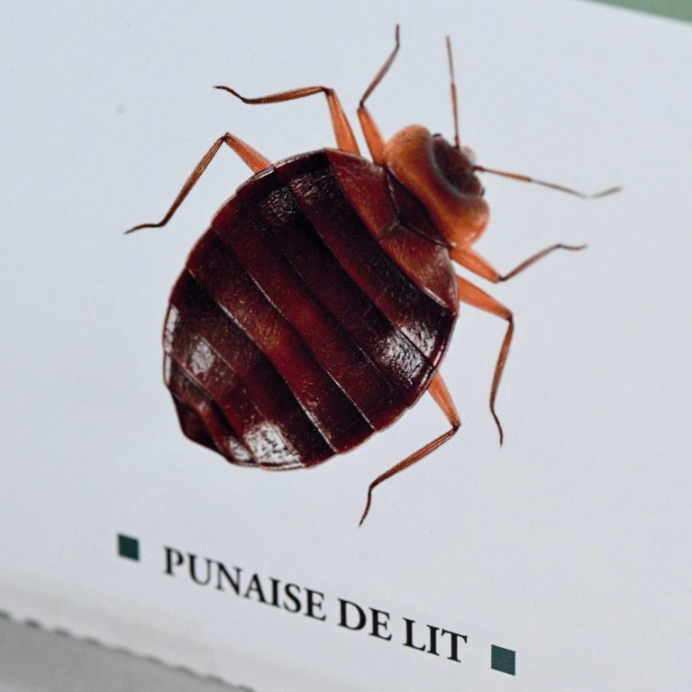 Bedbug scourge Becomes A Political Issue In France Ahead Of Paris bedbug-scourge-becomes-a-political-issue-in-france-ahead-of-paris