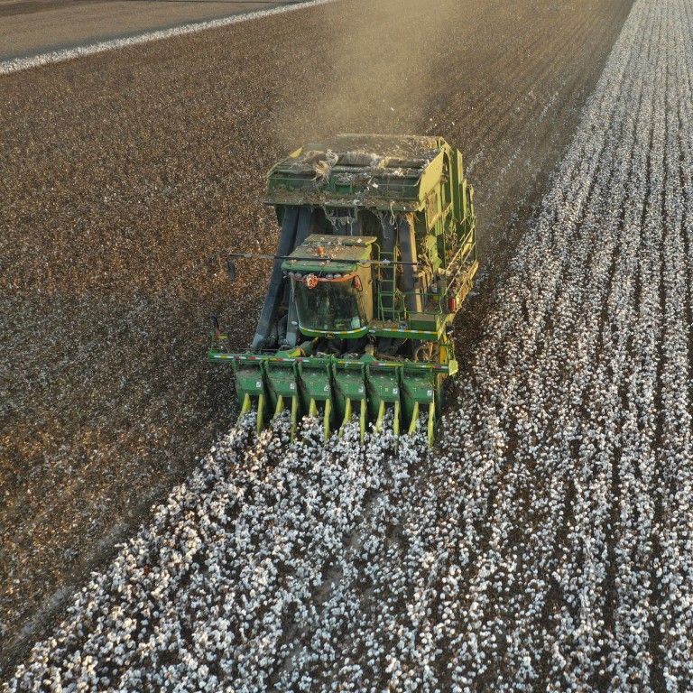 Will China’s wilting cotton output in Xinjiang get a boost from Western