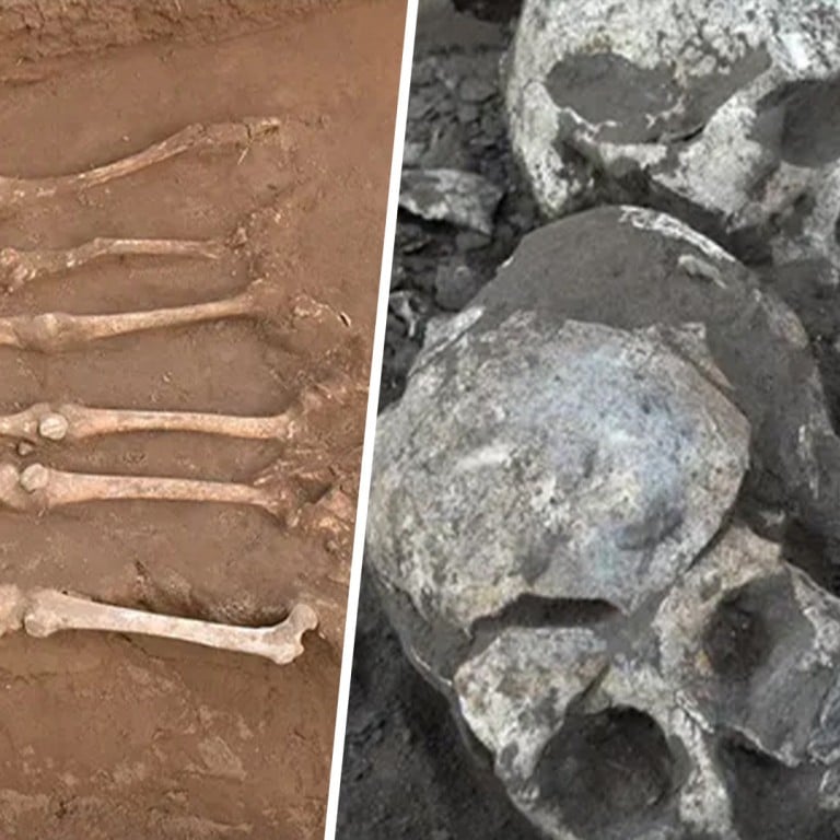 4,100-year-old mass grave in china reveals secrets of country’s largest neolithic headhunting massacre