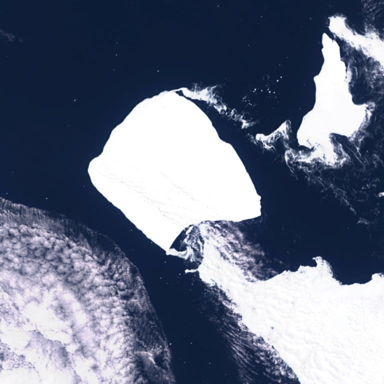 world’s largest iceberg breaks free, could threaten wildlife