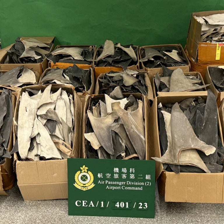 hong kong customs arrests 2 at city’s airport in connection with smuggled dried shark fins worth hk$2.6 million