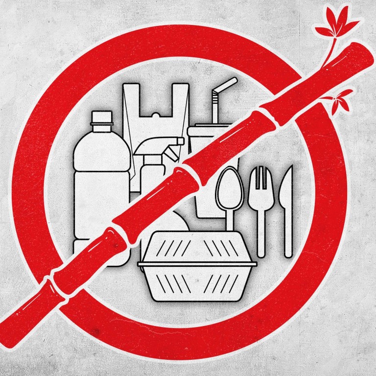 China’s bamboo could replace highemitting plastics, but tech