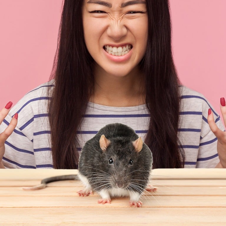 Biggest daredevil of 2023': China student takes revenge on mouse that bit  her by sinking teeth into rodent's head, shocking mainland social media |  South China Morning Post