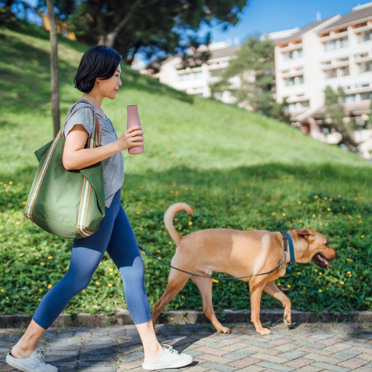 How Shorter More Intense Bouts Of Exercise Like Brisk Walks May Be how-shorter-more-intense-bouts-of-exercise-like-brisk-walks-may-be