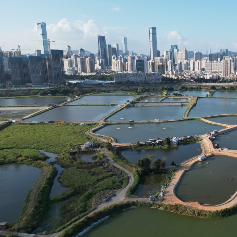 Extensive damage found in Hong Kong wetlands earmarked for conservation ...