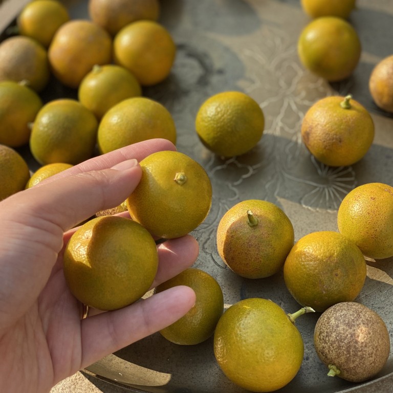 Kumquat fruit top