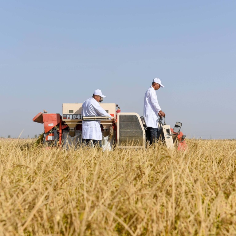Chinese scientists invent method to transform salty soil into fertile farmland as Beijing pushes