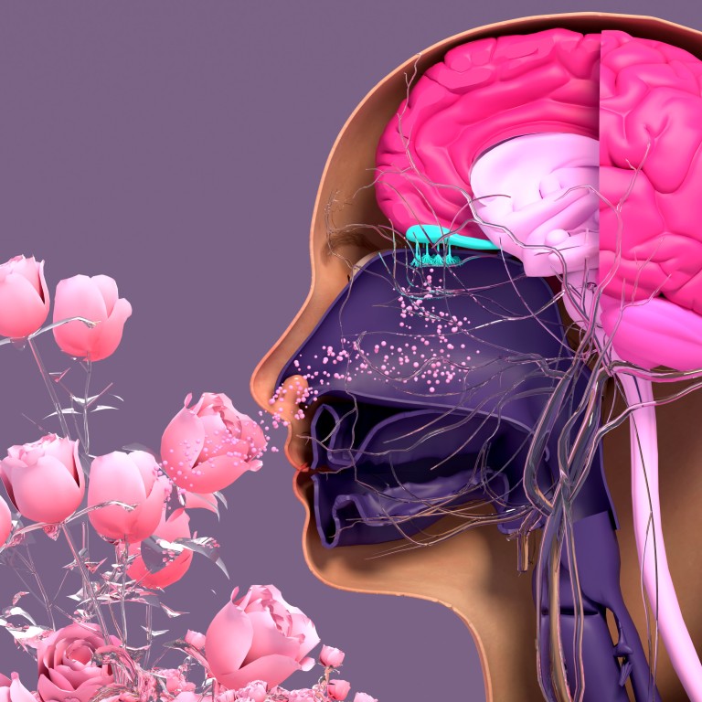 How smell is a powerful link to emotional memories and can help reduce