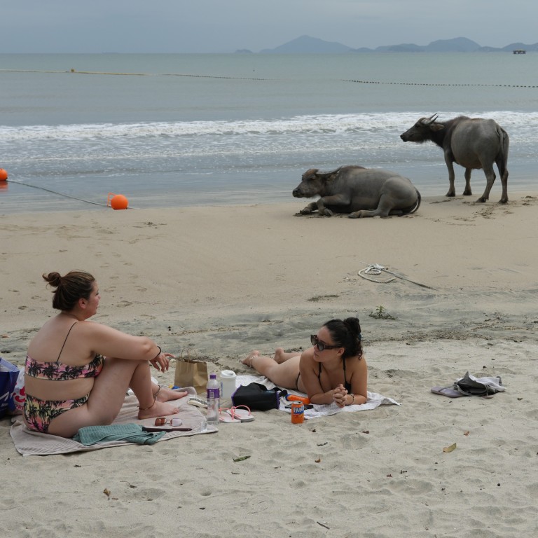 South Lantau ecotourism plan: better late than never?