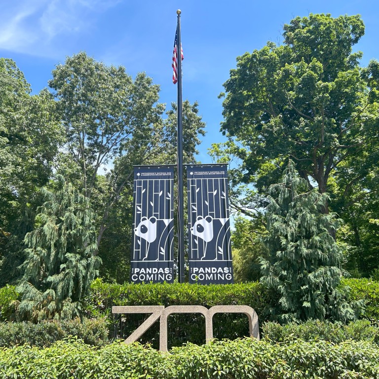 Panda fever hits Washington’s National Zoo early, as does push for ...