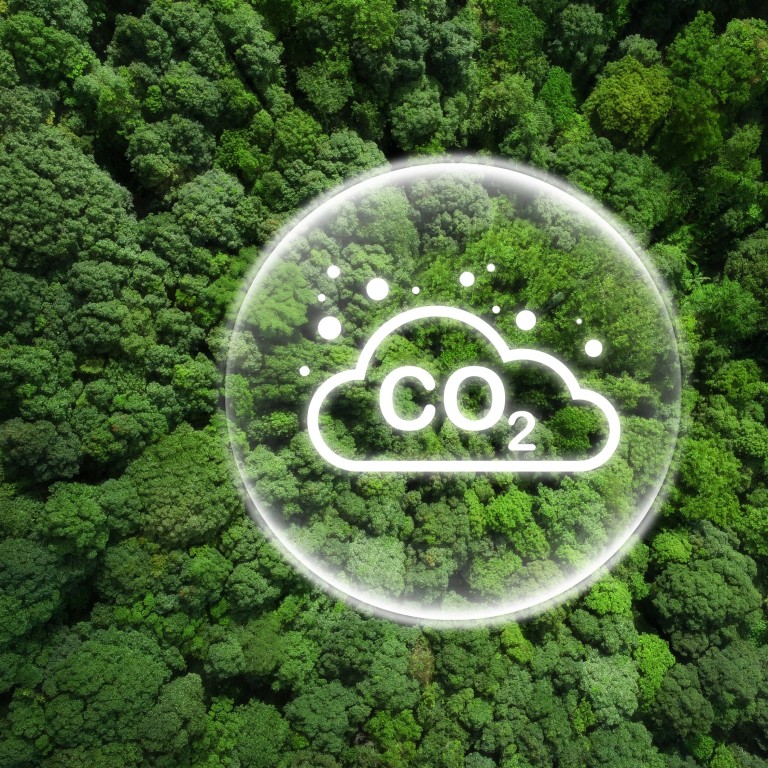 Climate change: Budget, stakeholder engagement are ‘main challenges for Hong Kong firms’