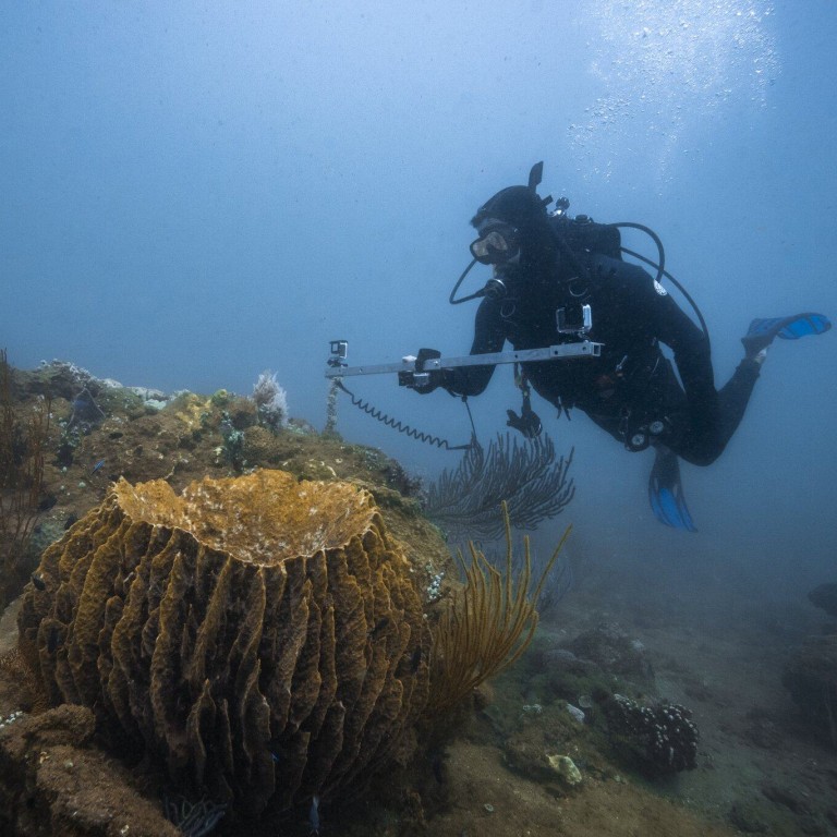 The Ningaloo Reef ecosystem is listed as an Unesco World Heritage site. Rolex’s Perpetual Planet Initiative supports Australian marine biologist Ben Fitzpatrick in his quest to keep Ningaloo Coast and Exmouth Gulf safe from development. Photos: Handout