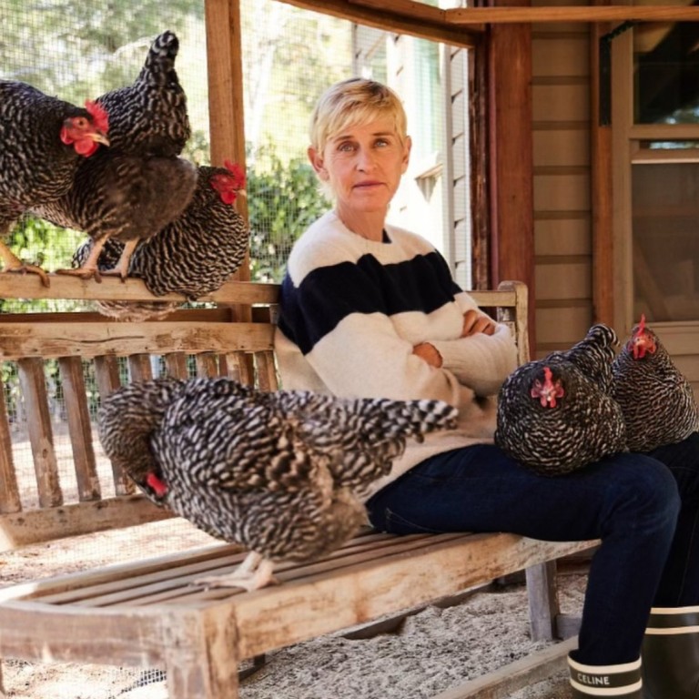 What happened to Ellen DeGeneres after her downfall? Photo: @ellendegeneres/Instagram