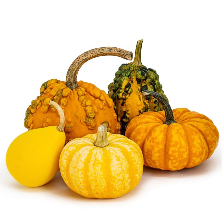 Pumpkins range from yellow to green, blue, purple, black and even white, and work in salads, soups, curries, pumpkin pie (of course) and other desserts. Photo: Getty Images