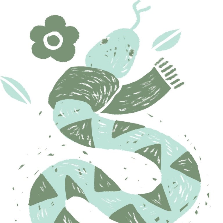 What to expect in the Year of the Wood Snake 2025. Photo: SCMP Graphics