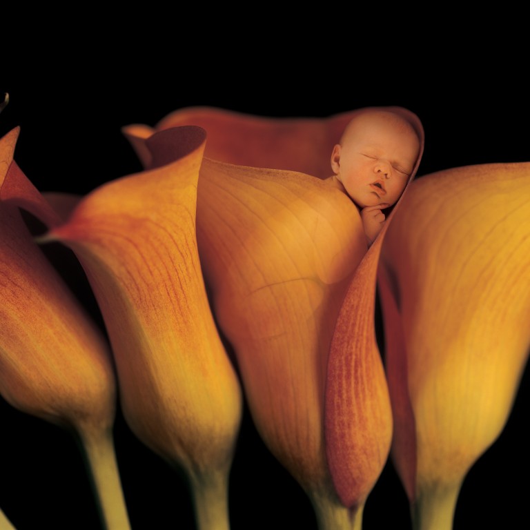 Anne Geddes often photographs pregnant women, newborns and small children, and her acclaimed work has led to collaborations including with Celine Dion and baby Dior. Photo: Anne Geddes