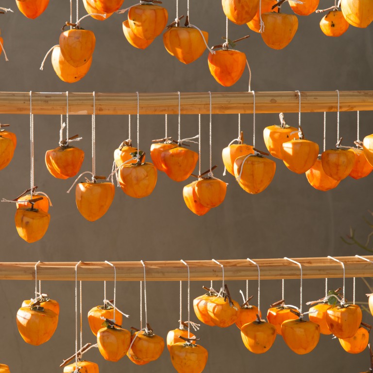To make delicious Hoshigaki, or air-dried persimmons, the fruits need to be hung up and dried for a week before they are gently massaged until their natural sugars crystallise. Photo: Rick Poon